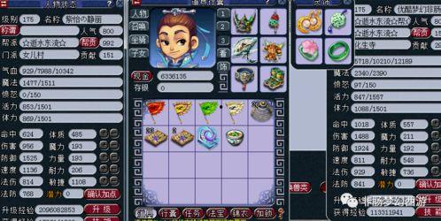 梦幻西游20周最新爆料,神秘副本、全新门派、精彩活动抢先看