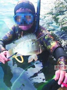 鱼爆料的视频大全最新版